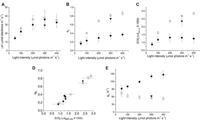Chloroplast ATP Synthase Modulation of the Thylakoid Proton Motive Force: Implications for Photosystem I and Photosystem II Photoprotection
